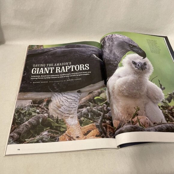 National Geographic October 2020 Reimagining Dinosaurs Tragedy of Human Traffick - Picture 9 of 10